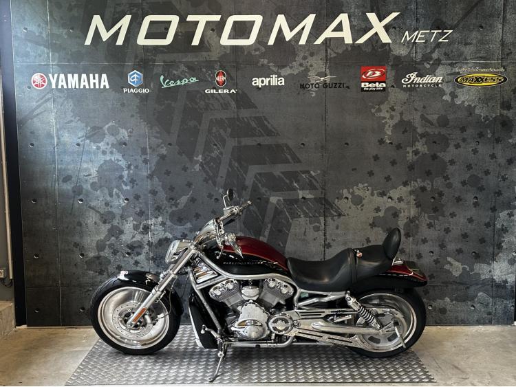 HARLEY-DAVIDSON V-ROD 1130 ZEBRING