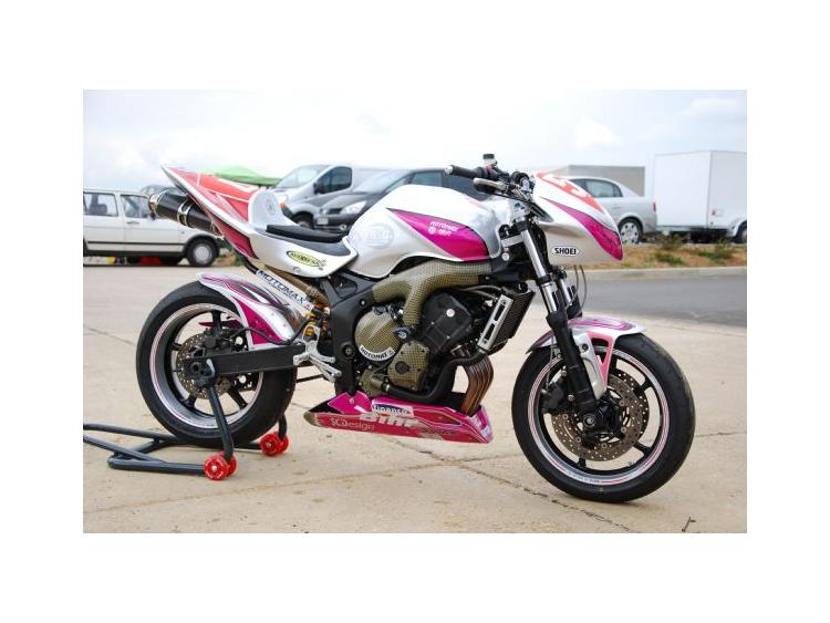 FZ6 Roadster cup