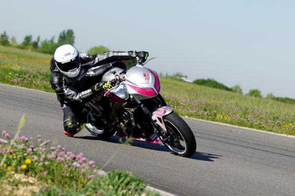 FZ6 Roadster cup