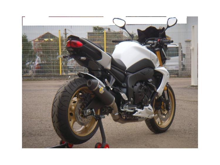 FZ8 Naked