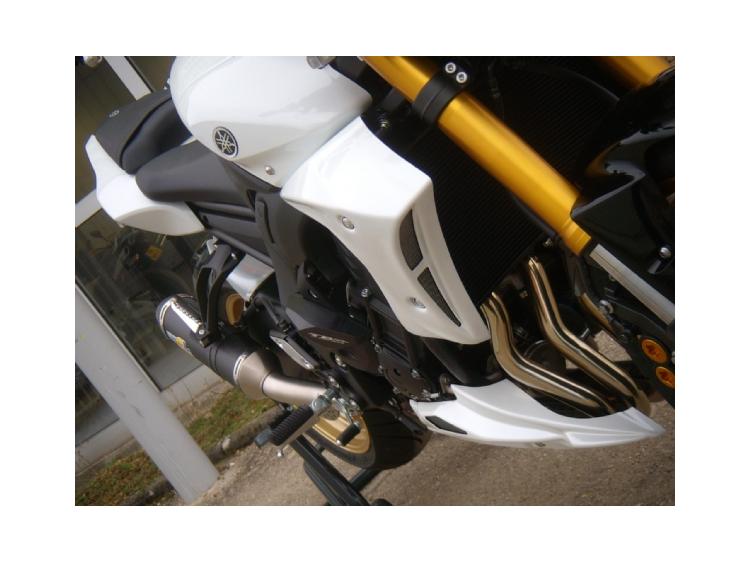 FZ8 Naked