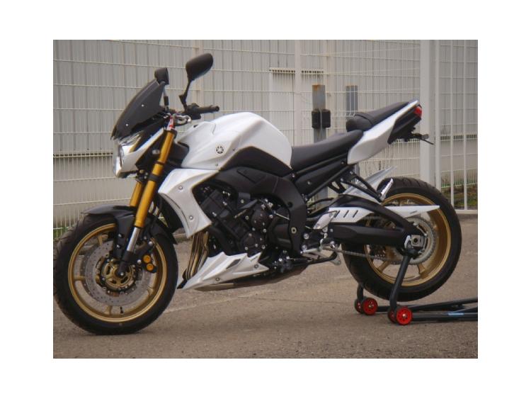 FZ8 Naked